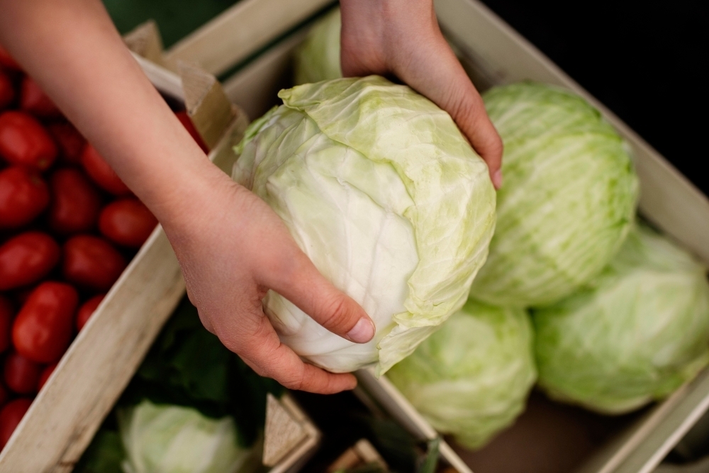 Close up on delicious organic cabbage rich in glutamic acid