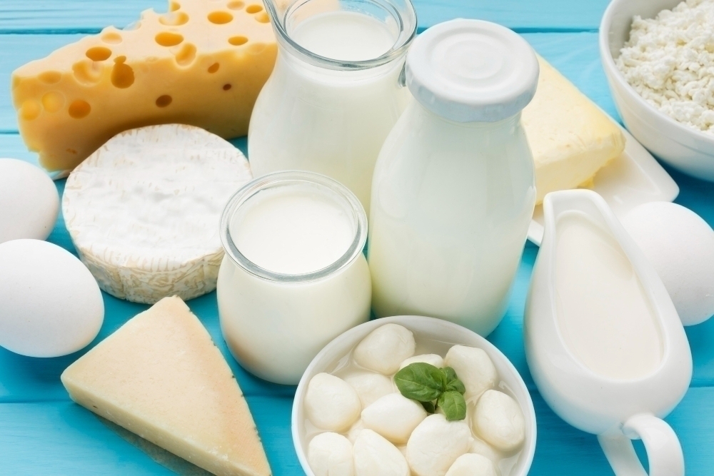 Close up organic milk with gourmet cheese