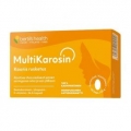 Bertils MultiKarosin
