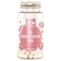 Healthwell B5 Pantoteenihappo 500