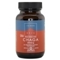 TERRANOVA CHAGA-SIENI KAPSELEITA, 500 MG