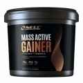 Self Omninutrition Active Whey Gainer