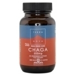 Healthwell Terranova  Chaga-sieni Kapseleita, 500 mg