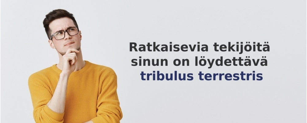 usein kysytyt kysymykset aiheesta Tribulus Terrestris